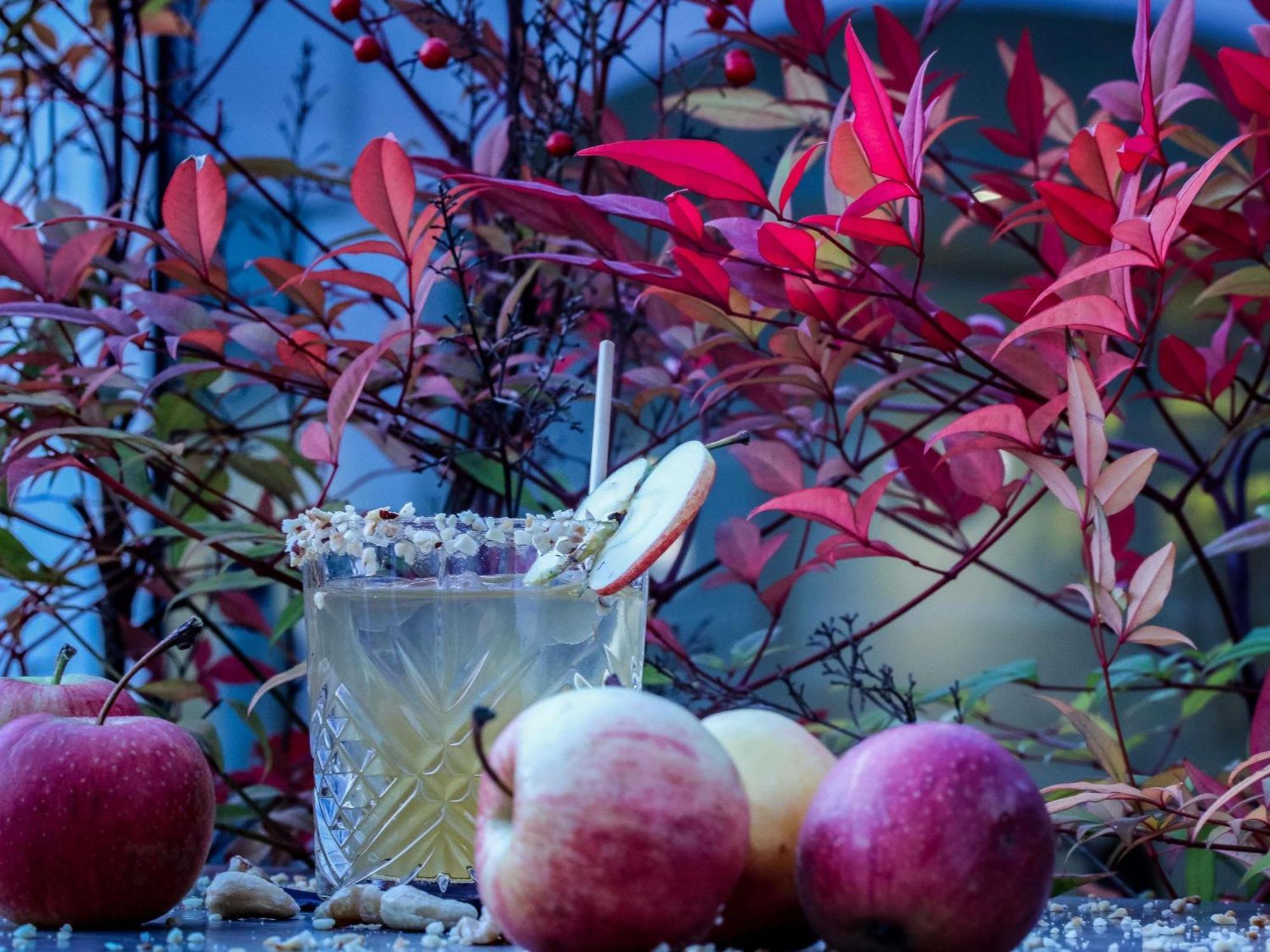 Mercure Aix-Les-Bains Domaine De Marlioz Hotel & Spa Экстерьер фото